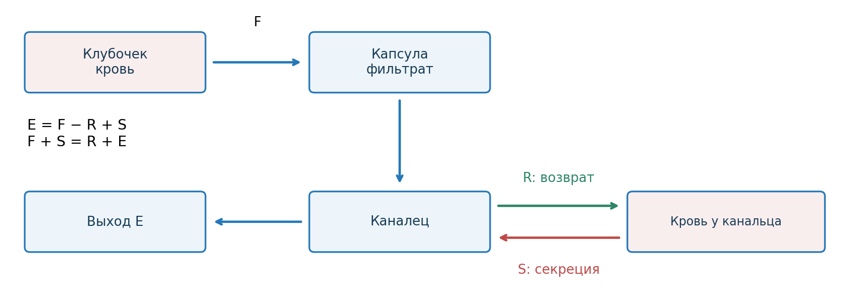 Нефрон: фильтрация в капсулу, реабсорбция к крови и секреция в каналец. Условная схема, не в масштабе.