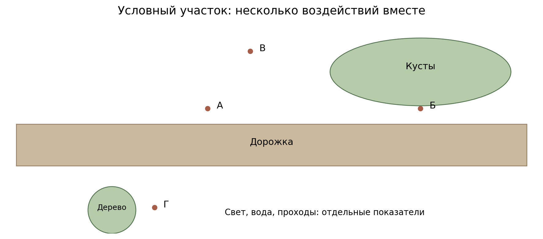 Авторская учебная карта: дорожка, открытая полоса и кусты. Точки А/Б/В/Г — условные площадки, не реальные адреса. На карте отмечены источники воздействий; освещённость, влажность и покров даны отдельно в таблице. Картографический масштаб не задан.