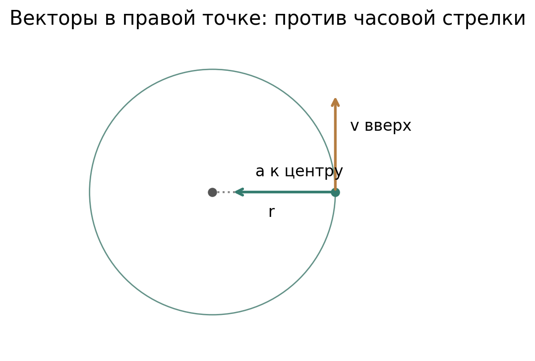 Направления для равномерного вращения: скорость по касательной, ускорение по радиусу к центру. Длины двух разноразмерных векторов не сравнивают; это схема направлений, не график сил.
