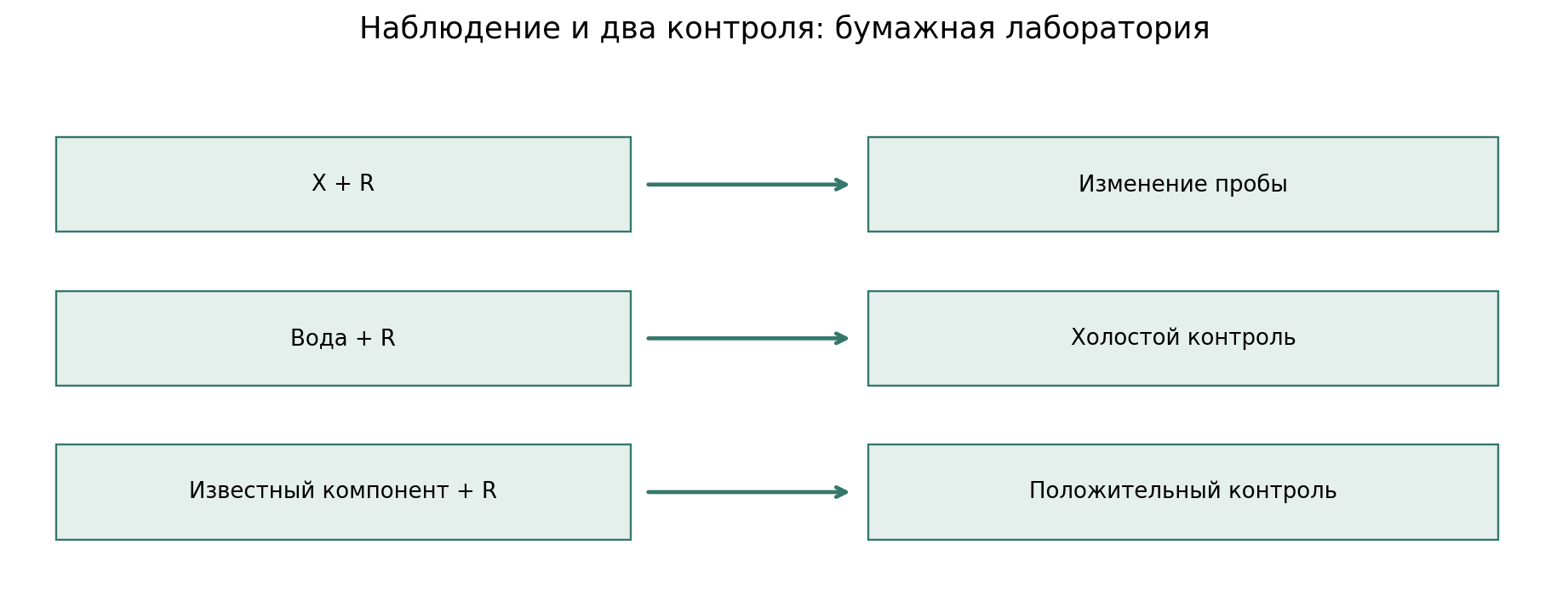 Схема трёх сравнений: X + реагент → наблюдение; вода + тот же реагент → холостой контроль; известный компонент + реагент → положительный контроль. Только готовые учебные результаты, реактивы ученики не смешивают.