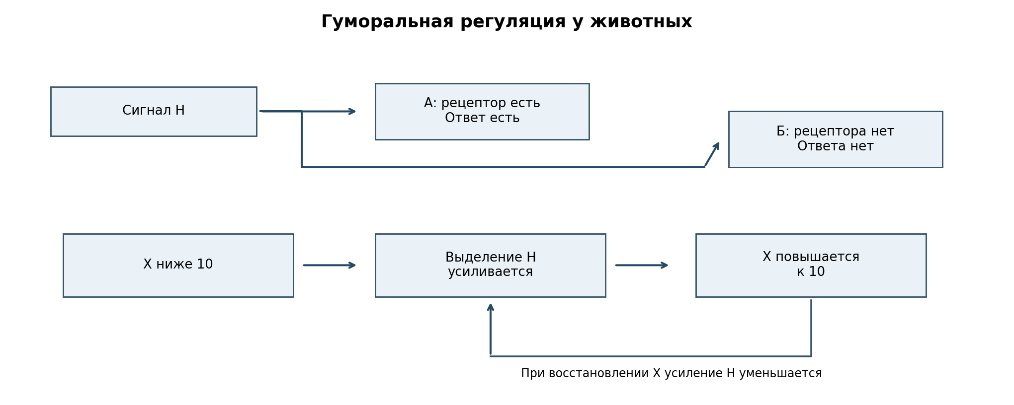 Верхняя схема показывает необходимость подходящего рецептора. Нижняя — отрицательную обратную связь учебной системы X/H; значения условные, не медицинские.