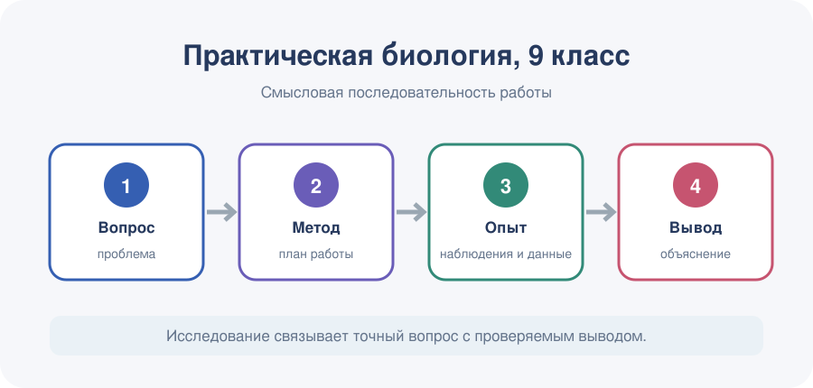 Биологический вопрос переходит в методику, наблюдение, анализ данных и обоснованный вывод.