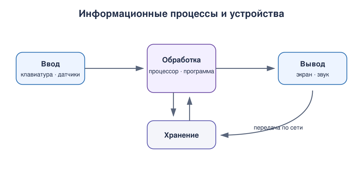 Информация проходит путь от ввода и хранения к обработке и выводу; сети обеспечивают передачу данных между устройствами.
