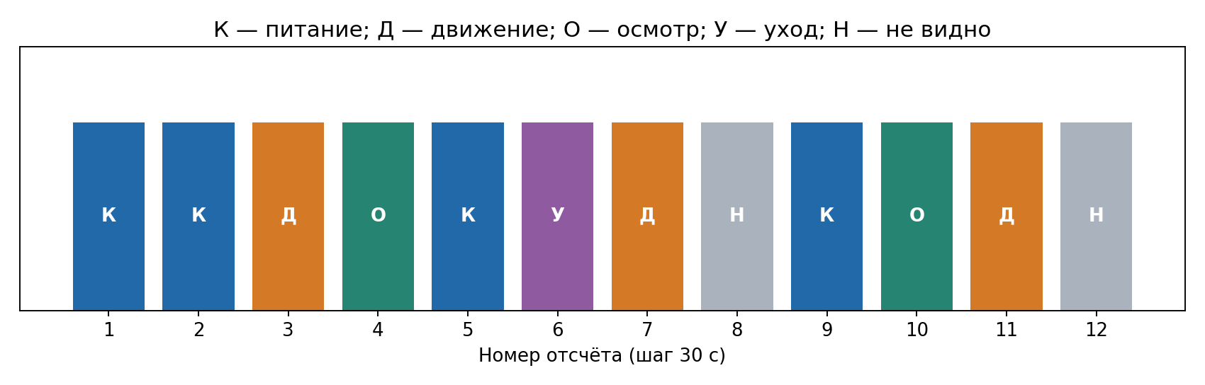 Учебный протокол белки: 12 мгновенных отсчётов с равным шагом. К — питание, Д — движение, О — осмотр, У — уход, Н — не видно. Цвет означает действие, а не эмоциональное состояние.
