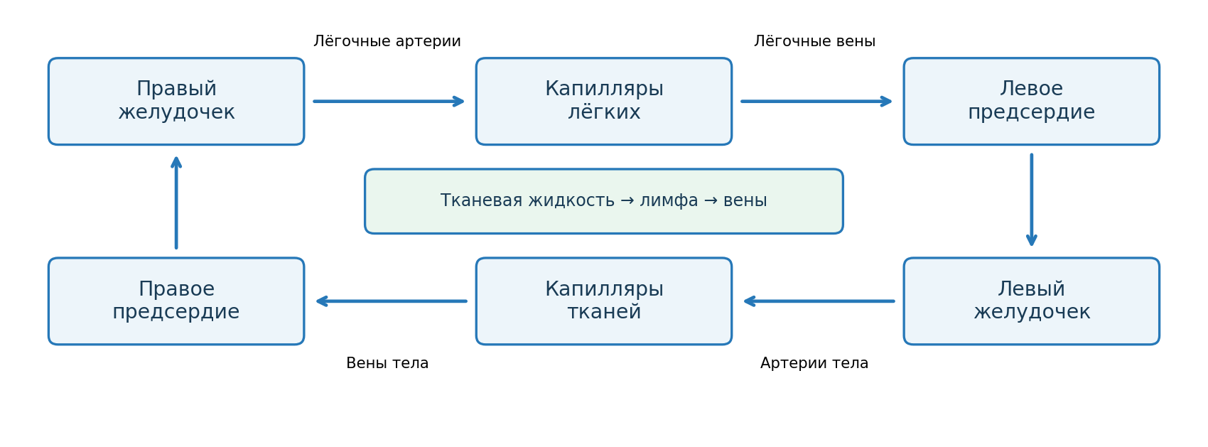 Два круга кровообращения и отдельный путь возврата тканевой жидкости через лимфатические сосуды в вены. Стрелки показывают направление, размеры органов условные.