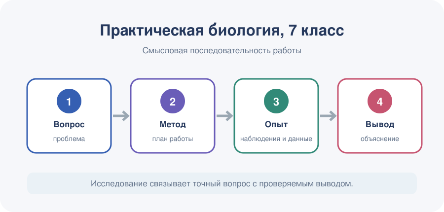Биологический вопрос переходит в методику, наблюдение, анализ данных и обоснованный вывод.