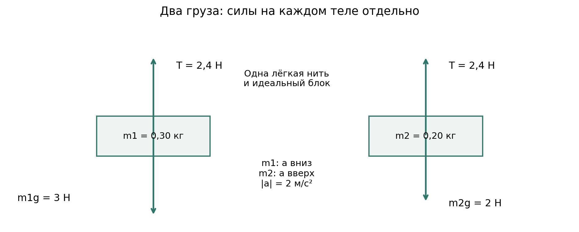 Разобранный пример. Это две диаграммы сил, не монтажная схема; длины стрелок условны, значения подписаны. Одинаковое T и разные силы тяжести дают одинаковые модули ускорений, направленные противоположно.