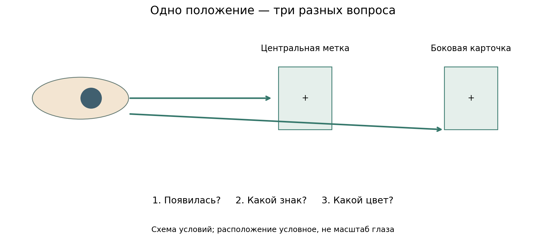 Авторская схема наблюдения: взгляд на центральную метку; одинаковая карточка появляется в центре либо справа. Последовательно спрашивают о появлении, знаке и цвете. Обычный свет, без направленного луча в глаза. Положения условны, анатомический масштаб не задан.