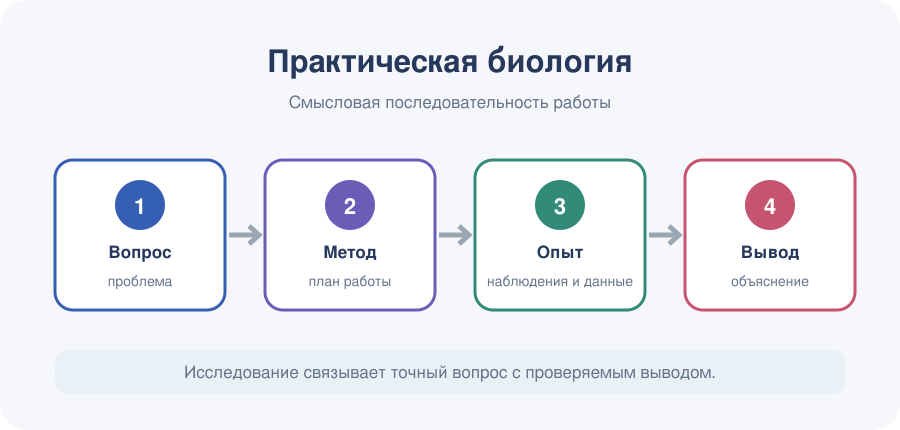 От вопроса и метода — к безопасному эксперименту, анализу данных и выводу.