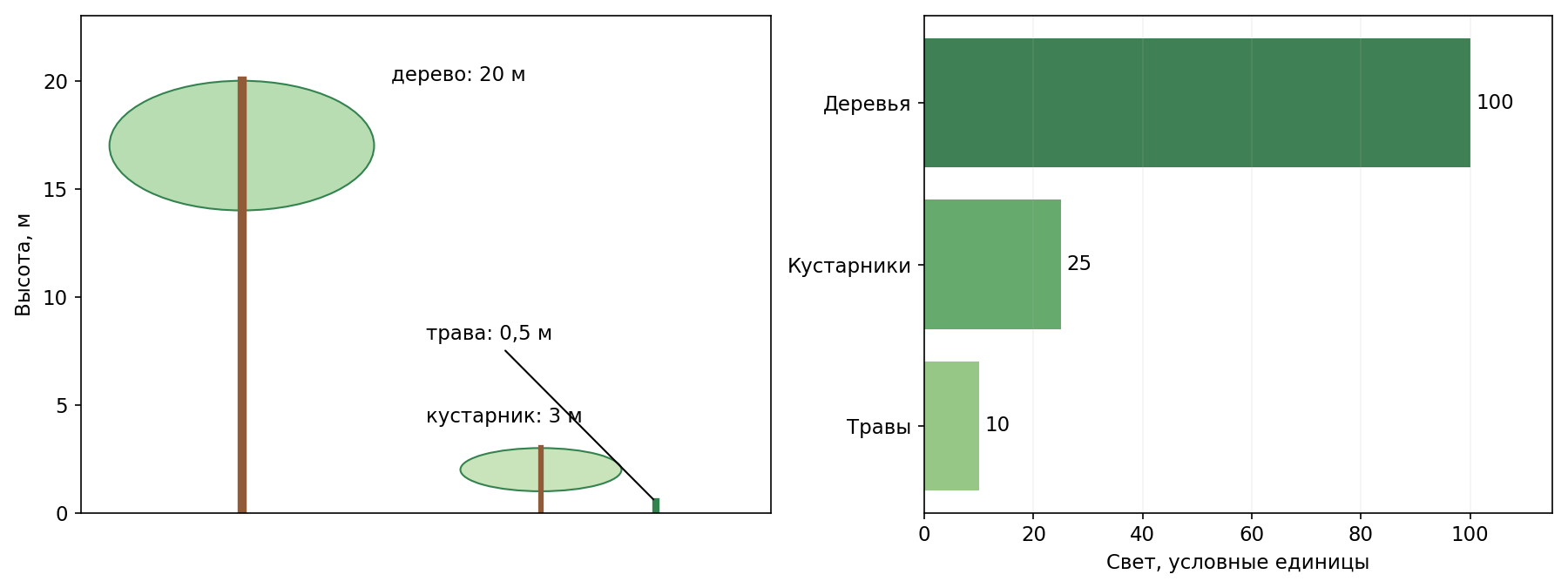 Вертикальный профиль учебного леса: дерево 20 м, кустарник 3 м, трава 0,5 м; схема световых измерений дана отдельно. Ширины крон условны и не изображают проценты покрытия.