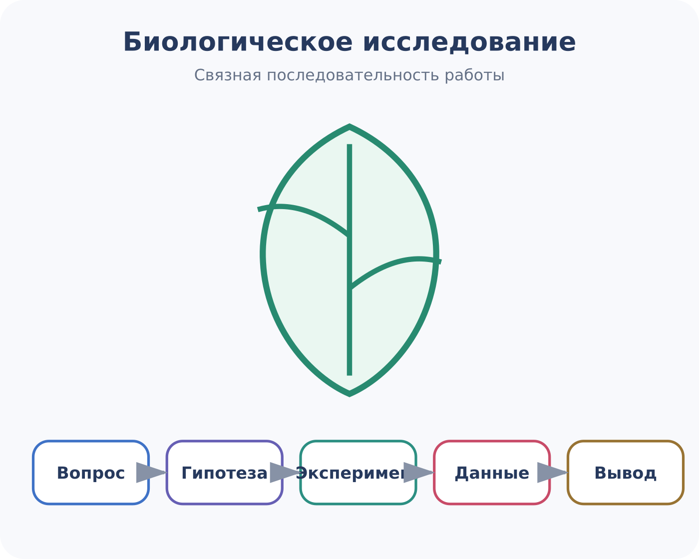 Исследовательский цикл: вопрос, гипотеза, эксперимент, данные и вывод.