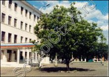 Школа №35 Краснодар