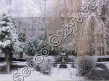 Школа №43 Курск