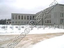 Кингисеппская гимназия