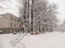 Санаторно-лесная школа Нижний Новгород