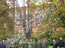 Школа №44 Шахты