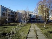 Гимназия №77 Тольятти