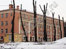 Школа №263 Санкт-Петербург