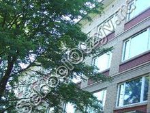 Гимназия №642 Санкт-Петербург