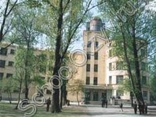 Лицей №384 Санкт-Петербург