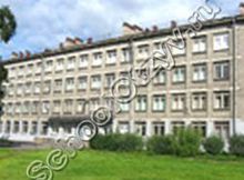 Гимназия №498 Санкт-Петербург
