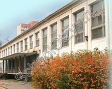 Гимназия №66 Санкт-Петербург