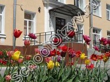 Школа №695 Пушкин