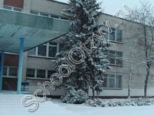 Школа №15 Невинномысск