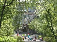 Северский лицей