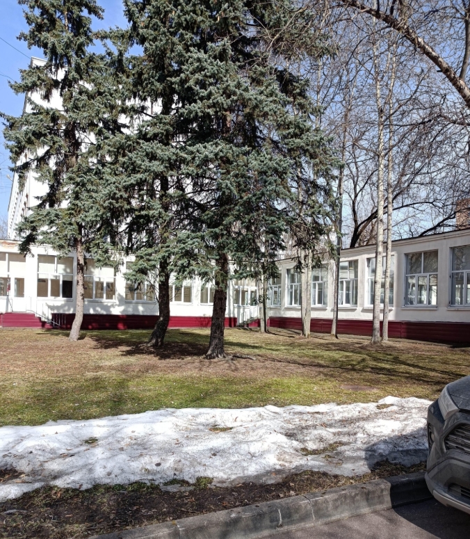 ГБОУ "Курчатовская школа" (корпус)