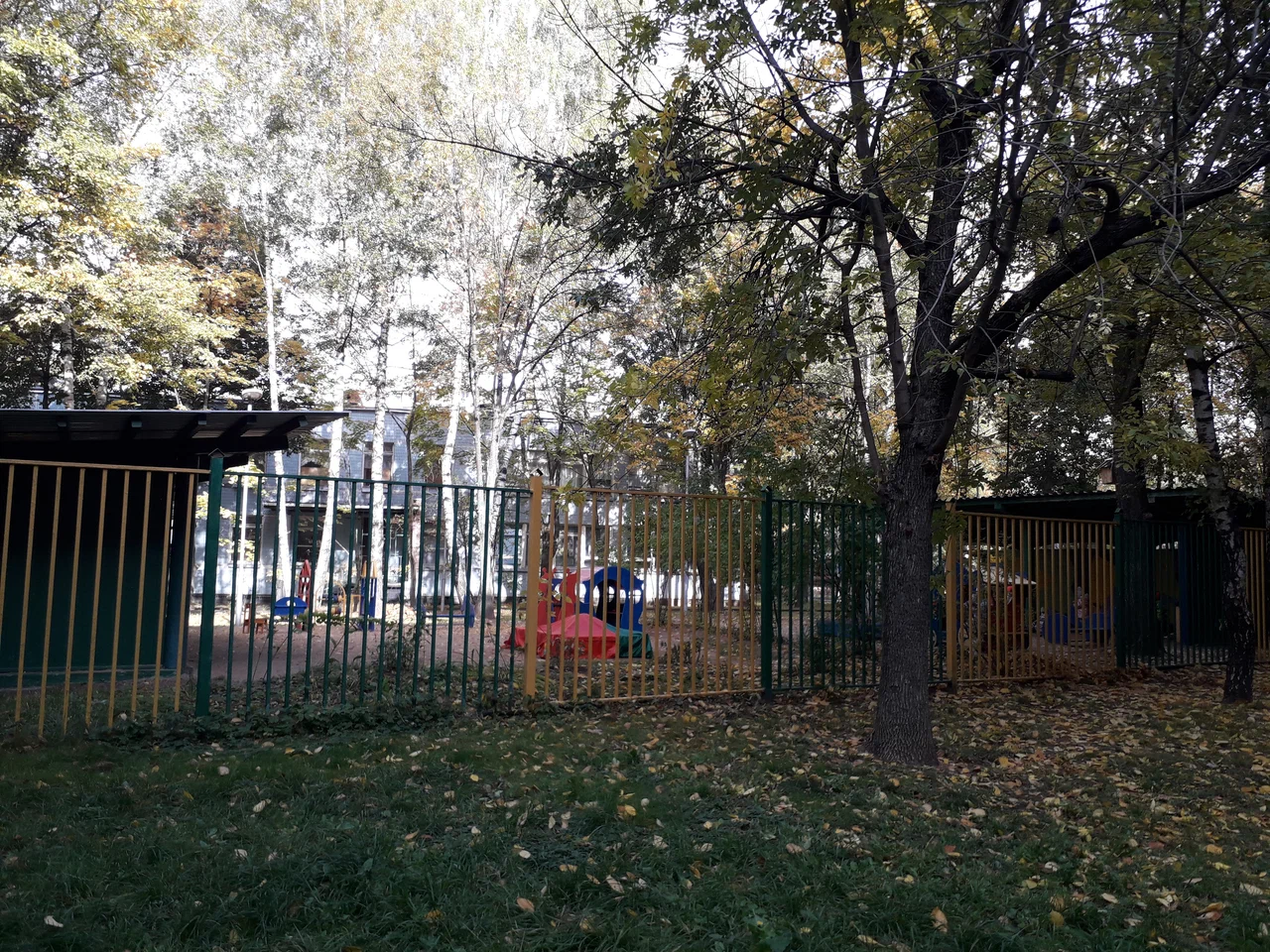 №15 — ГБОУ Школа № 1636