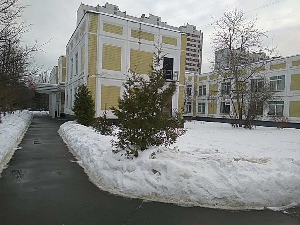 ГБОУ Школа № 1273 (корпус)