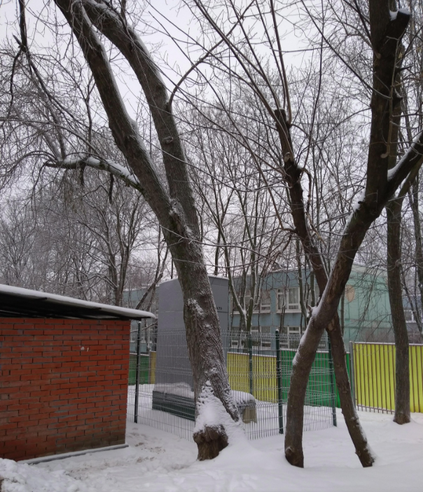 ГБОУ Школа № 507 (корпус)