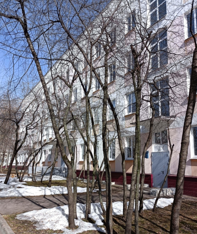 ГБОУ "Курчатовская школа" (корпус)