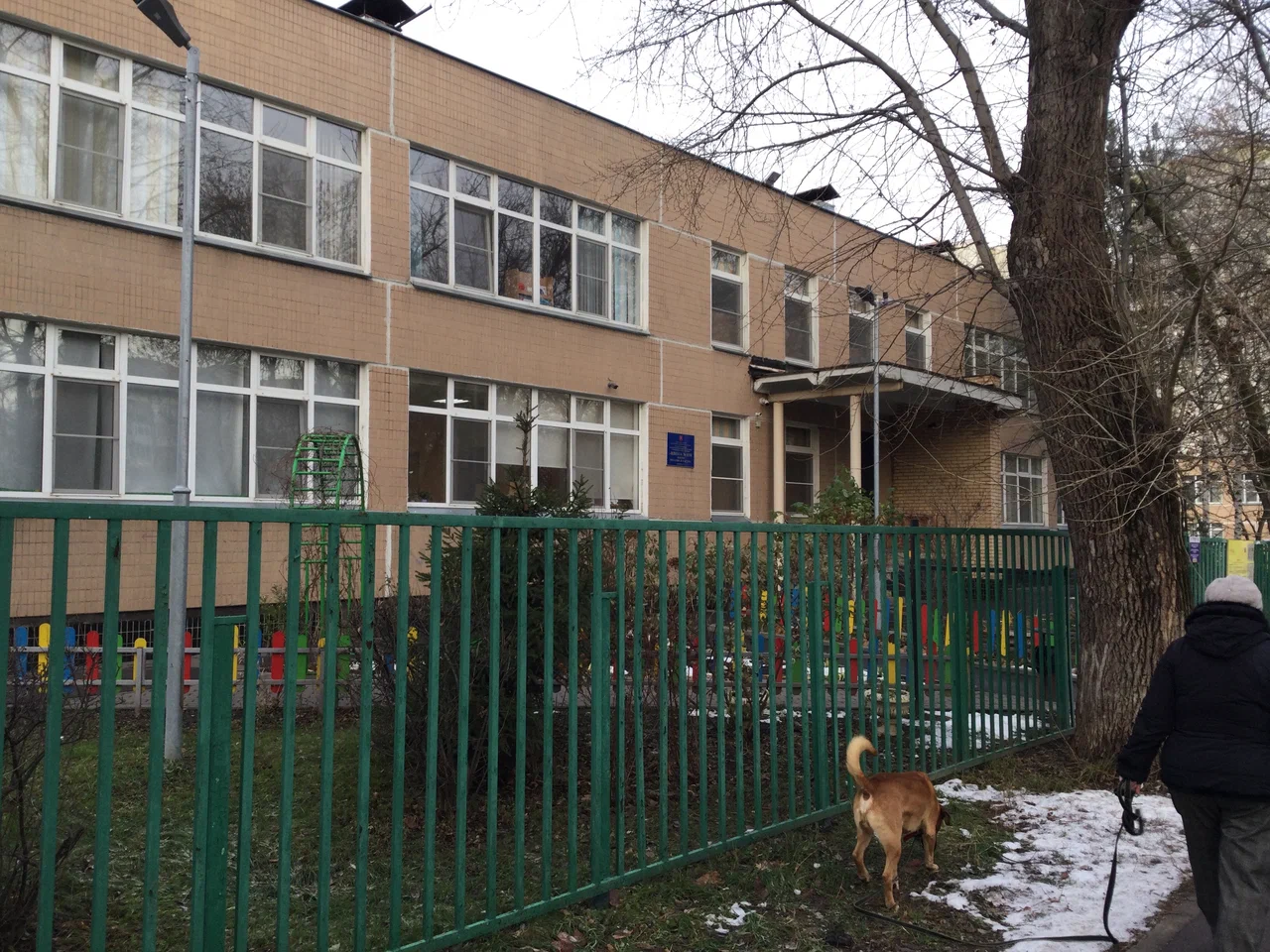 Дошкольное образование — ГБОУ Школа № 1558 имени Росалии де Кастро